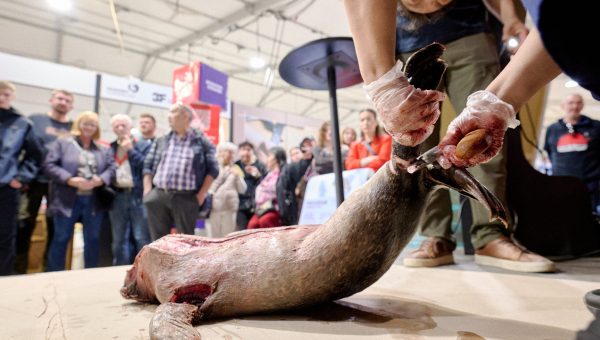 55224550227_b81f149231_6k