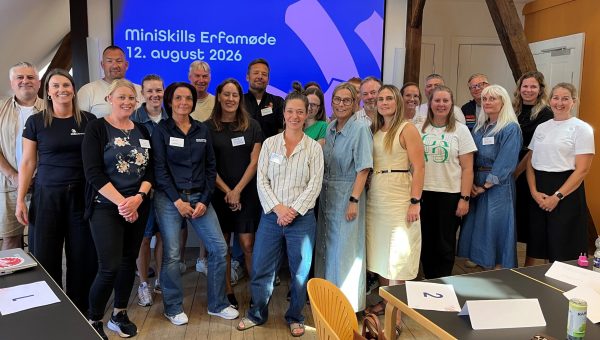 miniskills erfagmøde 2026